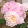 Decorative Flowers High-end Artificial Flower Fake Living Room Decoration TV Cabinet Entrance Pography Props Six Heads Peony B