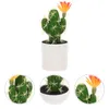 Decorative Flowers Simulation Cactus Desktop Decor Small Bonsai Ornament Tabletop Potted Plant Potting Decoration Fake