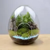 Wazony kreatywne szklane butelki w kształcie jajku soczyste wazon hydroponiczny mikro krajobraz terrarium mchu bonsai home dekoracje domowe