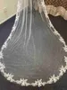 Bijoux de cheveux de mariage Appliques Pearls Veil de mariage Long Lace Lace Bridal Veil One Lay 1t Veils de mariée ACCESSOIRES DE MARIAGE 3M LONGNE