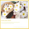 Fiori decorativi 20 pezzi Clip per capelli Artificial Frangipani Barrette per donne Plumeria Plumeria Clips da panate da panate Miss