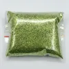 Glitter 1000g UV Gel Varnish Nail Tips Pigment Nail Glitter Powder Flash Normal Glitter Powder for DIY Nail Art Decoration Wholesale