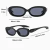 Zonnebrillen trendy klein ovaal voor vrouwen pc frame ac lenzen UV400 tinten zonnebril rijden vissen brillen brillen