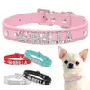 Bling Rhinestone Puppy Dog Flars Personalizowane małe psy Chihuahua Zagrożny