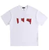 Paris T-shirt Kvinnor Pure Cotton Colorful Letter Logo broderi Kort ärm mode Tees Tops 2024 Sommarkläder Kvinna Vintage Tee Shirt T Shirts