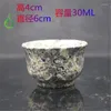 Theekopjes natuurlijke magnetische steen jades theekop Chinese ceremonie gezondheid gongfu thee het echte pruimenbloesem jade teasets