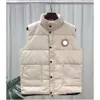 2024 Neue Kanadas Goosejacket Frau Winter im Freien Herren Down Westen Luxus BodyWarmer Fashion Jackets Damen Designermantel Männlicher Luxus Canda Gosse Jacke und Hemd 984