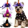 Dog Apparel Pet Hat Halloween Spooky Style Dos Tie Decormation Регулируемая дизайн создать атмосферу милые аксессуары для кошек эластичная лента