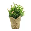 Fiori decorativi in plastica floreale artificiale interno diversi lotti di produzione nome prodotto simulati piante in vaso lievi deviazioni