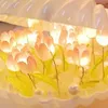 Night Lights Shell Tulip Atmosphere Battery Powered Simulation Light Desktop Ornaments Gift For Living Room Bedroom Office Decor