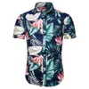 2019ハワイアンスタイル新しい男性のカジュアルな特大の男性用半袖シャツ