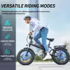 Bicycle H20 Bicycle Electric Bicycle 48V 1000W Bike elettrico a pneumatico grasso da 20 pollici Piegatura Outdoor Best Mountain Bicycle Snow Ebike impermeabile 15AH