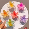 Clips de cabello Barrettes Summer Hawaii Beach Plumeria Flower Cabellado para mujeres Accesorios para el cabello Cabello coreano Cañón de pelo Cangrejo 240426