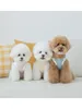 Vêtements pour chiens mignon avec un petit sac à dos ours messager vêtements chiot d'été schnauzer teddy chat luxe