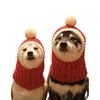 Hundkläder designer vinter varm hatt för hundar husdjur stickat huvudskydd rött färg år katt mössa personliga valp stora tillbehör