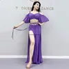 Stage Wear Woman Clothing Belly Dance Costume Set High Waist Split Long Skirt Practice Clothes Female Adult Oriental Dancing Performance