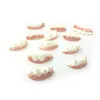 Party Decoration 12pcs/ Set Halloween Funny Tricky Dentures Bucktooth Vampire Fake Teeth Toy For Children Cosplay Props Decor