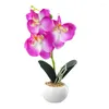 Decorative Flowers Artificial Orchid Bonsai Potted Simulation Phalaenopsis Home Office Balcony Garden Realistic For Outdoor Indoor