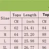 Womens Tracksuits Two Pieces Sets For Woman Hoodie Jackets Pants Embroidery Style Slim Jumpers Woman Tracksuit Autunmn Spring Set Outwears