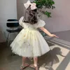Robes de fille Enfants filles robe d'été pour enfants