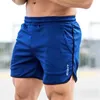 Shorts maschile IVNA Shortness Shorts Summer Galesout Maschio Shorts traspirato a maglie a secco rapido Jogger Short Pants Short Pants D240426