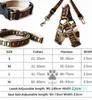 Lyxiga hundhalsar Leases Set Designer Dog Leash Seat Belts Pet Collar and Pets Chain för små medelstora stora hundar Cat Chihuahua Poodle Bulldog Corgi Pug Brown