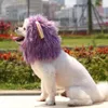 Dog Apparel Pet Hat Adorable Lion Shape Fastener Tape Design Soft Breathable Comfortable Cat Headgear Supplies