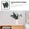 Decoratieve bloemen bewaren gedroogde eucalyptus stengels echte lange centerpieces bundelbladeren Bladeren decor bewaard gebleven plant