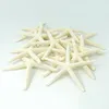 Decorazione per feste da 12 pezzi Starfish di dito bianco 5-10 cm a cinque dita decorativo