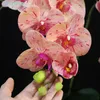 Fiori decorativi Phalaenopsis Orchid Flower Branch (7 fiori/stelo) 78 cm 3d Touch Office Decorazione della casa Centrotavola