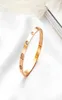 2020 Fashion New rose gold 316L stainless steel screw bangle bracelet with screwdriver and original box never lose snap jewelry wh7059613