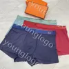 Nuovo marchio Designer di biancheria intima sexy Mano Brand Underpant Boxer di cotone di alta qualità Casuali