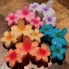 Haarklammern Barrettes süße Blumenkrallen Damen Eierhai Clip Candy Farbe großer Verlaufskrabbenbuckel Vintage Kopfbedeckung