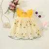 Vestidos de menina meninas vestido de verão bebê menina cheia de pequenas flores bordadas em malha bordada emendas pequenas mangas voadoras vestido de princesa de topo