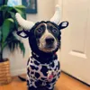 Odzież dla psów zima kapelusz ciepły wiatroodporny świąteczny Halloween ubieranie zwierzaka.