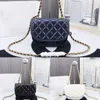 24C Satteltasche Luxusdesigner Frühling/Sommer Neue Frauen Mini -Kette Deckel Brieftasche Echtes Leder Mode High Crossbody Bag Vintage High Aussehen Elegante Umhängetasche