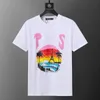 Mens T Shirt Designer Shirt Men Tshirt Man Black Tee Womens Clothers Massion رسالة طاقم بسيطة طباعة أكمام قصيرة للرجال والنساء Cot