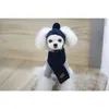 Dog Abbigliamento inverno Cappello da pet Scarf Set animale Animal Simple Design Bernice Kit
