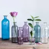 Vases Creative INS Hydroponic Plant Flower Decoration Weddings Parties Living Room Table Decor Home Glass Vase