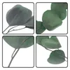 Decoratieve bloemen bewaren gedroogde eucalyptus stengels echte lange centerpieces bundelbladeren Bladeren decor bewaard gebleven plant