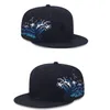 Ball Caps Basketball Snapbacks Basetball caps passen Snapbacks Ball Snapbacks Hat Sport Caps