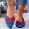 Casual schoenen ondiepe flats vrouwen puntige teen zomer dames 2024 vaste kleur niet-slip slijtage slijtage dames groot formaat