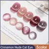 Kit 5Color Cinnamon Naken Crystal Cat Eye Gel Nail Polish 10 ml Magnet Gel Semi Permanent Soak Off UV LED Gel för nagelsalong