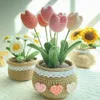 Unieke haakbloemkit Creatieve tulp potbloembreien set eenvoudig doe -het -zelf plant potten ornament 240424