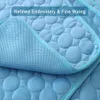 Pet Cooling Mat Dog Cat Sleeping Pad Cool Ice Silk Moistureproof Mattress Cushion Summer Small Animal Cold Bed 5 sizes 240424