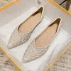 Chaussures décontractées eau diamant pointu célibataire femme d'été à fond plat de style de fée peu profonde