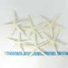 Decorazione per feste da 12 pezzi Starfish di dito bianco 5-10 cm a cinque dita decorativo