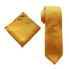 Boogbanden Verkoop van stropdassen Elegant en atmosferisch pak Tie hanky set hoogwaardige polyester shirtaccessoires