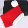 Pies Designer Designer Winter Warm Hat for Dogs Pet Knited Head Protector Red Rok Cat Cap Personalizowane szczeniaki duże akcesoria