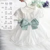 Dog Apparel Clothes Spring Summer Thin Skirt Lolita Wholesale Princess Mint Butterfly Cat Pet